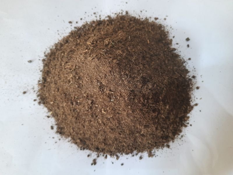 Cow Dung Powder Export